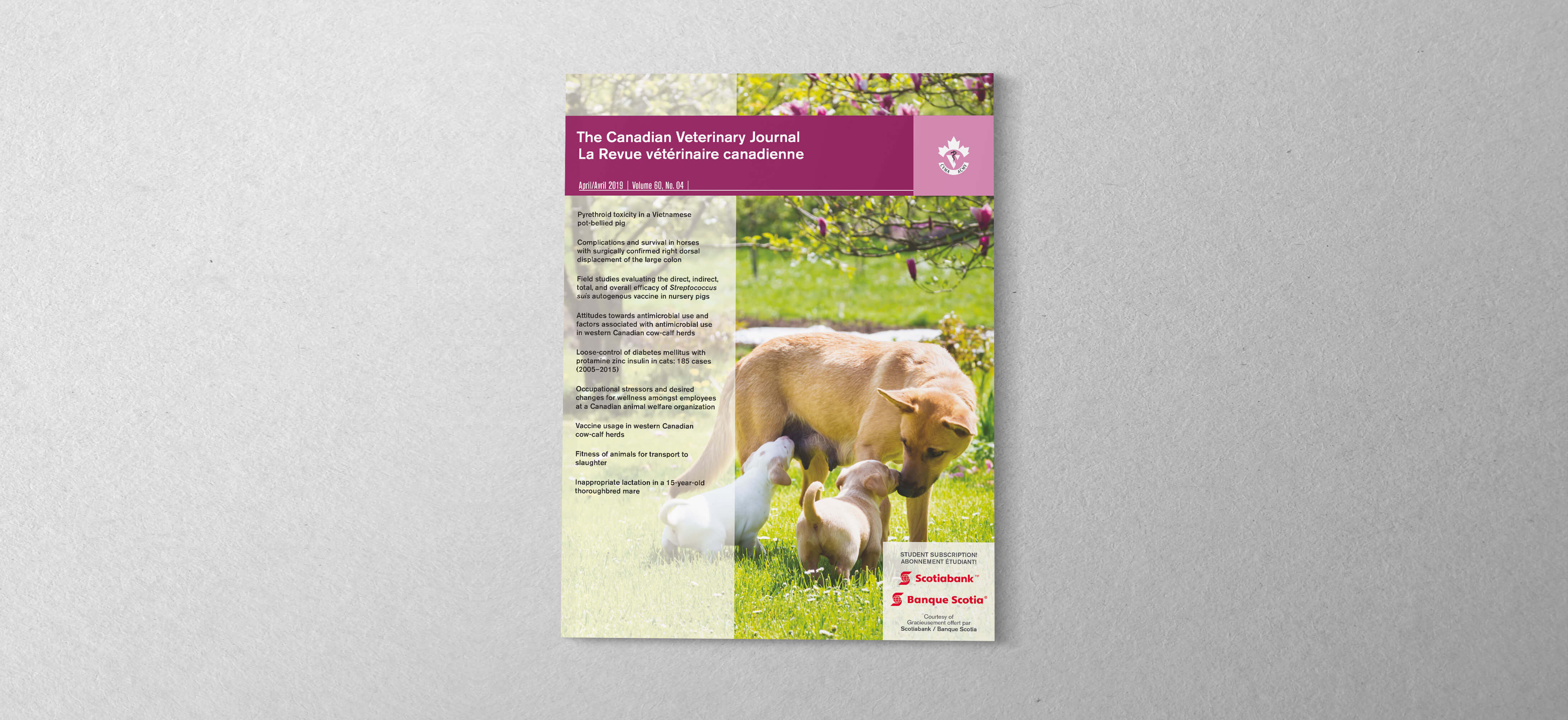 The Canadian Veterinary Journal AN Design Communications